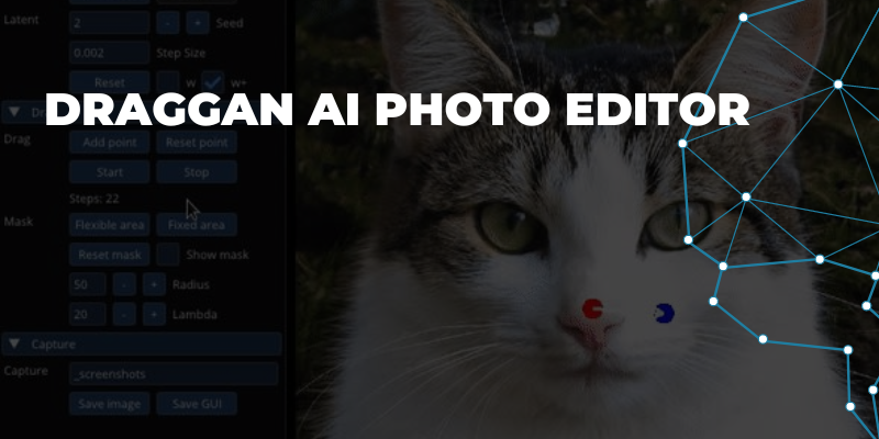 DragGan AI Photo Editor Download, How to Use, Image Editor Online, Features, Tool Website, Shortcuts